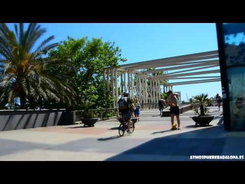 La Vila Olimpica de Barcelona 2017