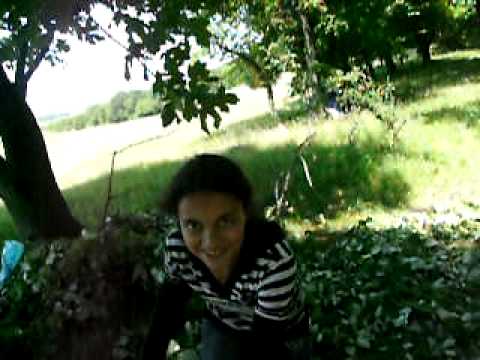 LA CULES TEI FOCSEASCA