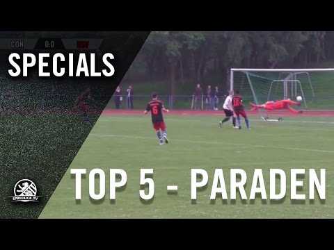 TOP 5 Paraden / Saves - 2016 | ELBKICK.TV