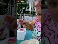 Jojo Siwa Eating Jojo Siwa Icecream