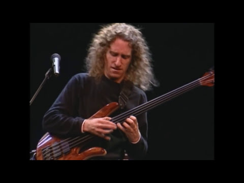 Michael Manring - Teen Town