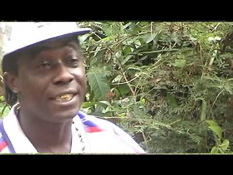 PETJE MAN CLIP PETJE KONG