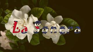 Dos Gardenias - La Sonera