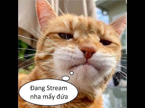 CF NA : Otiz From Novicee with LUV