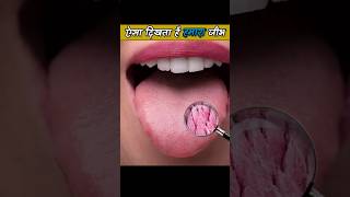 Download lagu ऐसे दिखता है हमारा जीभ । microscopic view of the tongue #shorts mp3 Download lagu ऐसे दिखता है हमारा जीभ । microscopic view of the tongue #shorts mp3