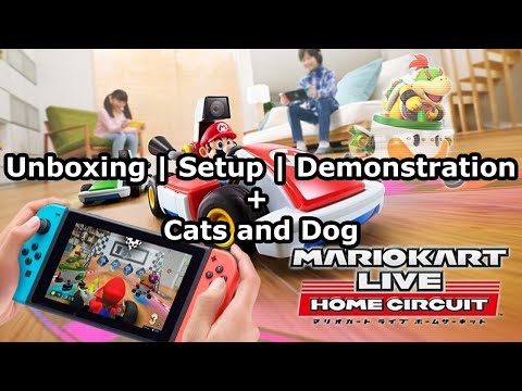 Akieon Plays: Mario Kart Live - Home Circuit + Cats and Dog