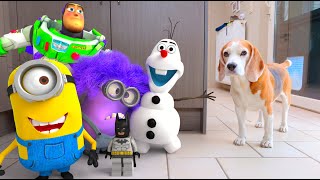 Animations in REAL LIFE vs Funny Dogs 🥳 | Angry Birds - LEGO - Minion