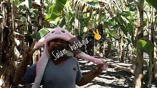 Download lagu Story wa jawa lucu kekinian mp3