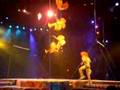 Monkey Acrobats
