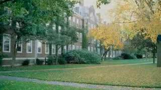 Harvard ( forget-me-not / ChengYaoYeh )