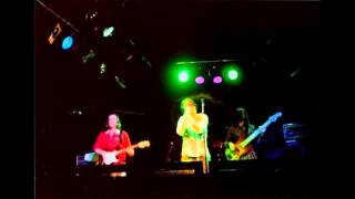 The Miller Stain Limit - Cellophane