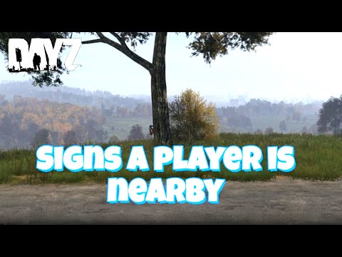 How to Detect Players Nearby in DayZ Xbox – Tracking & Awareness Tips for PvP