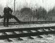 LESORUB 1985 