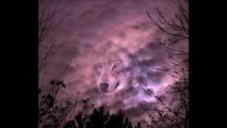 Wish you were here-......Pink Floyd...........Save the wolves !