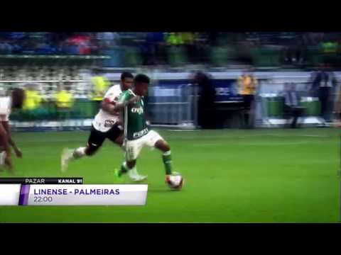Linense - Palmeiras 19.02.2017