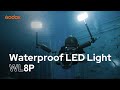 Godox Lampe vidéo WL8P