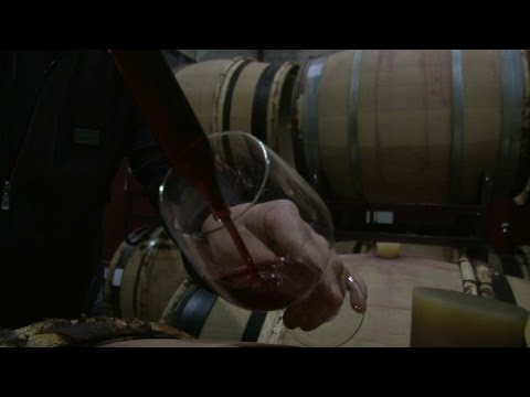 Goûtez à distance à un Beaujolais bio