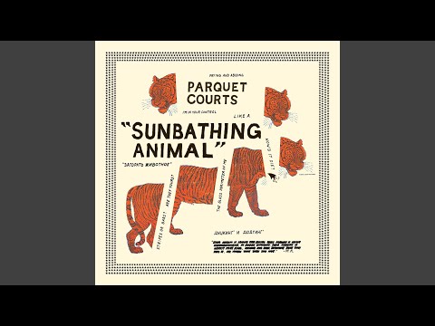 What Color Is Blood - Parquet Courts