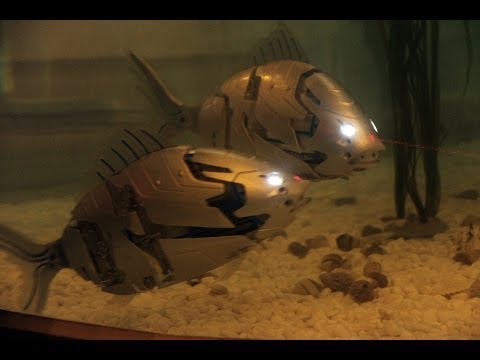 Robotic fish in South Korea - very advanced, very strong, mostly autonomous