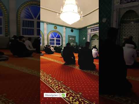 DAS ABENDGEBET IN DER MOSCHEE. #alhamdulillah #muslim