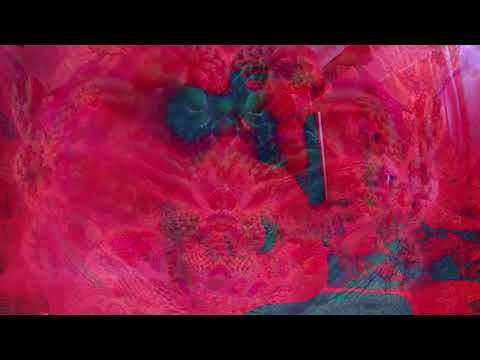 #swola66 - sTRUDEL - 12-String SWOLA - #sundaywitholariffchallenge