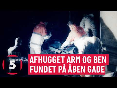 Danmarkshistoriens mest bestialske drab | Fra arkivet: Profil af en morder