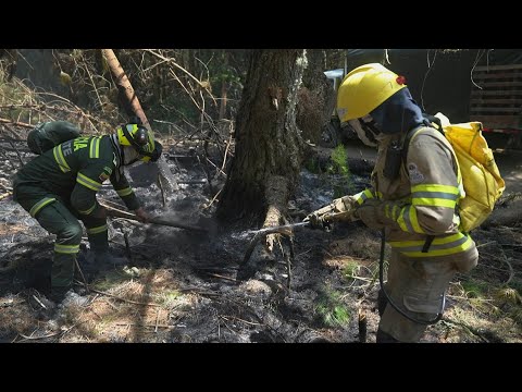 Firefighters combat blaze near Colombian capital as forest fires rage on | AFP