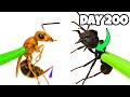 Simulating 1 000 Giant Ants And 1 000 Crazy Ants 200 Days Of Ant Colony Simulation ANTTREK