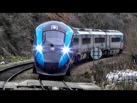 Trains at Morley Station | 04/03/2021