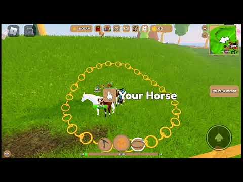 O DIA QUE EU DOMEI O CAVALO RARO QUARTER HORSE! TO MUITO FELIZ 😄