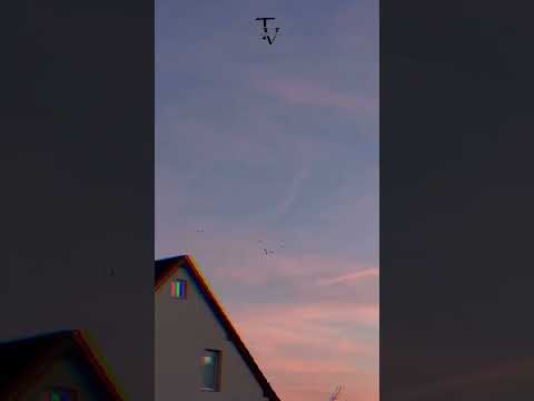 @thiagoveigh 💭💭.#frasesműsicasletras #tipografia_vibees14 #veigh