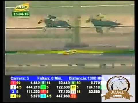 VALENCIA 5 CARRERA, VIERNES 15 DE ABRIL DEL 2016