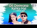 Dil Deewana Kehta Hai Pyar Kar Lofi Song Hogi Pyar Ki Jeet Udit Narayan 90 S Hits Hindi Songs