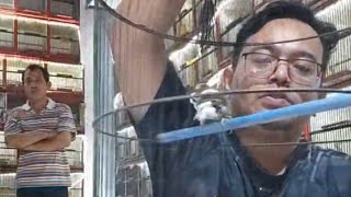 Download lagu bongkaran pleci dakun Pacitan mp3 Download lagu bongkaran pleci dakun Pacitan mp3