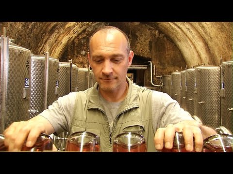 Suedsteiermarkwissen.com - Steirischer Sekt