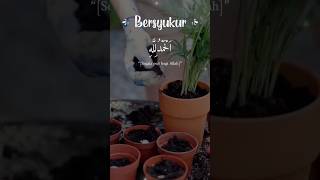 Download lagu BERSYUKUR kepada ALLAH #motivasidiri #motivationalquotes #katakatabijak mp3