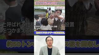 #日本株 #お金の勉強 #資産運用 #老後資金 #積立投資 #新NISA #長期投資