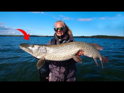 HALL OF FAME PIKE FIGHT - TOP 13 biggest Pike
