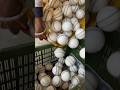Cricket World Cup Leather Ball Making Viral Trending Reels Shorts Cricket