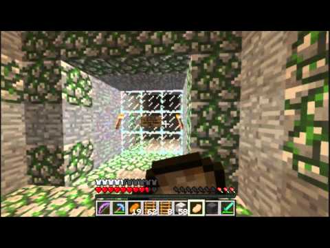 DrJecko - Minecraft - Vechs Spellbound Caves TAS 14:01