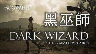 [心得] 霍格華茲全戰鬥合輯與心得