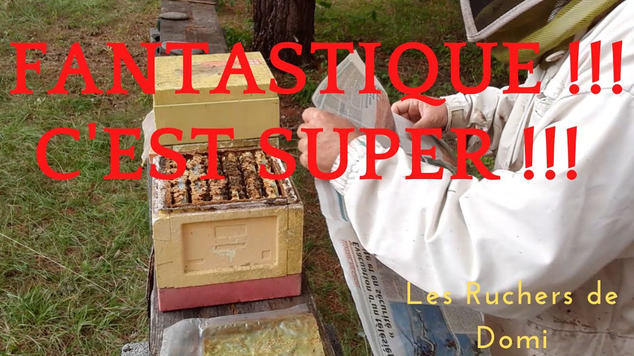 Saison 1 Ep39 2022. Comment faire hiverner des mini plus ou nucleus ?