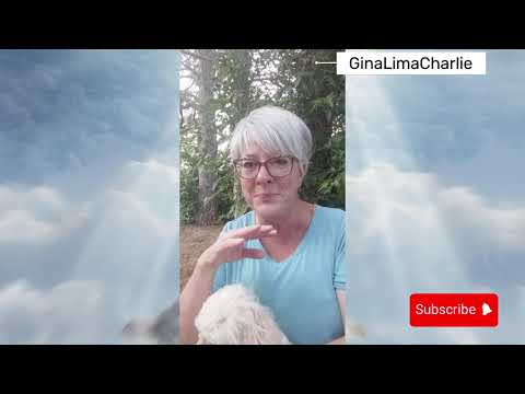 Witness21 Editor  2024 04 25