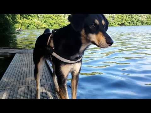 Carlos am Heider Bergsee