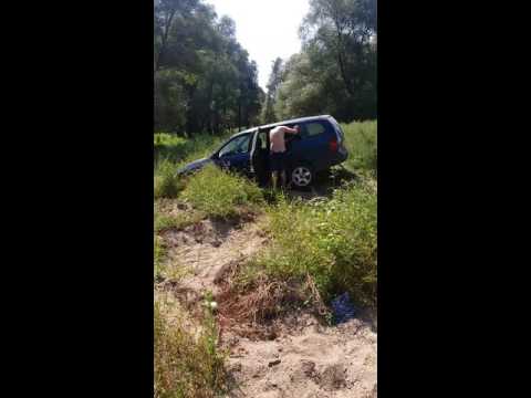 Schila nebunu din nicolint