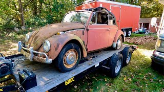 1967 VW Beetle Found & Rescued - Saving a RARE Volkswagen Beetle Convertible. Holy Grail Rescue ;