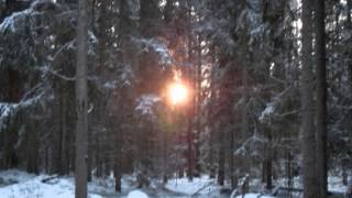 Clandestine Blaze - Northern Insanity