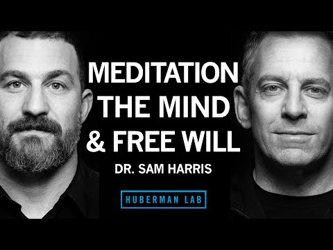 Using Meditation to Focus, View Consciousness & Expand Your Mind | Dr. Sam Harris