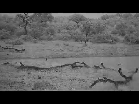 Djuma: Rainy weather approaches-then the sky opens - 18:36 - 12/13/21