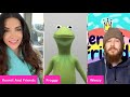 Kermit And Friends Bruce Davis